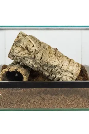 Terrarium met valdeur 40x25x25 cm Lage Kosten