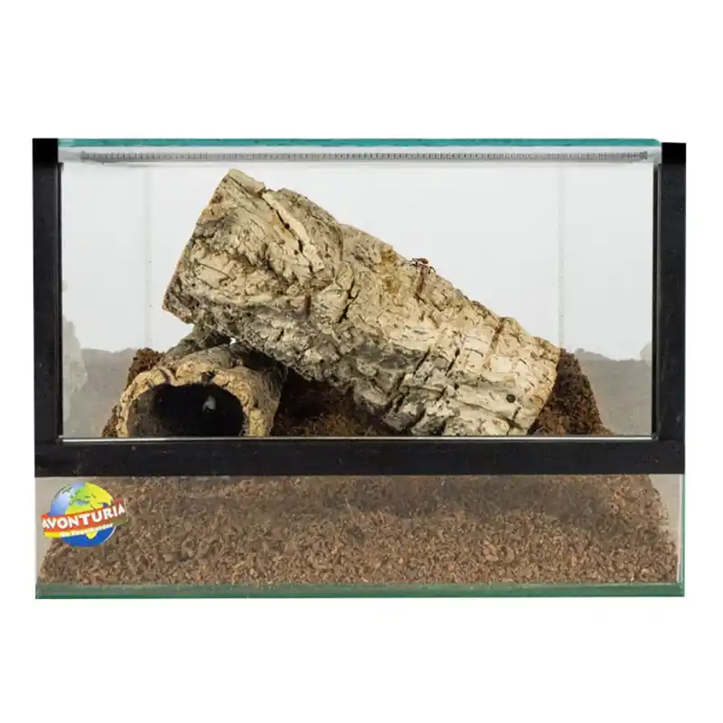 Terrarium met valdeur 40x25x25 cm Lage Kosten