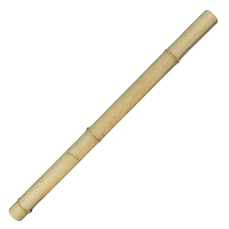 Bamboo Moso 90cm Aanbieding