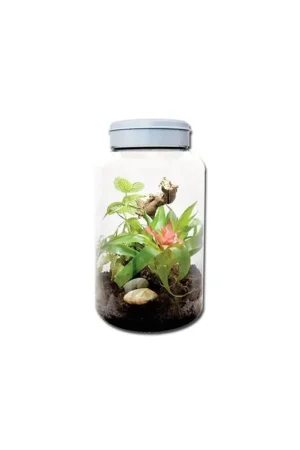 Lucky Reptile Insect Tarrium 5L Tijdelijk Beschikbaar
