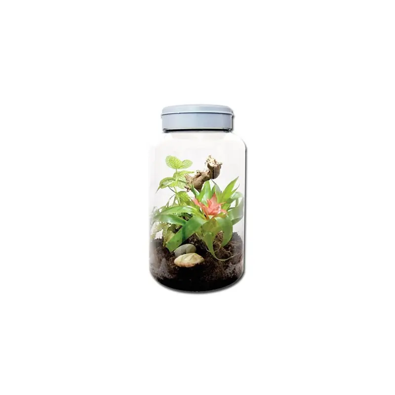 Lucky Reptile Insect Tarrium 5L Tijdelijk Beschikbaar