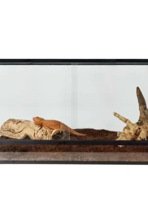 Terrarium Basic 100x50x50 cm Lage Kosten