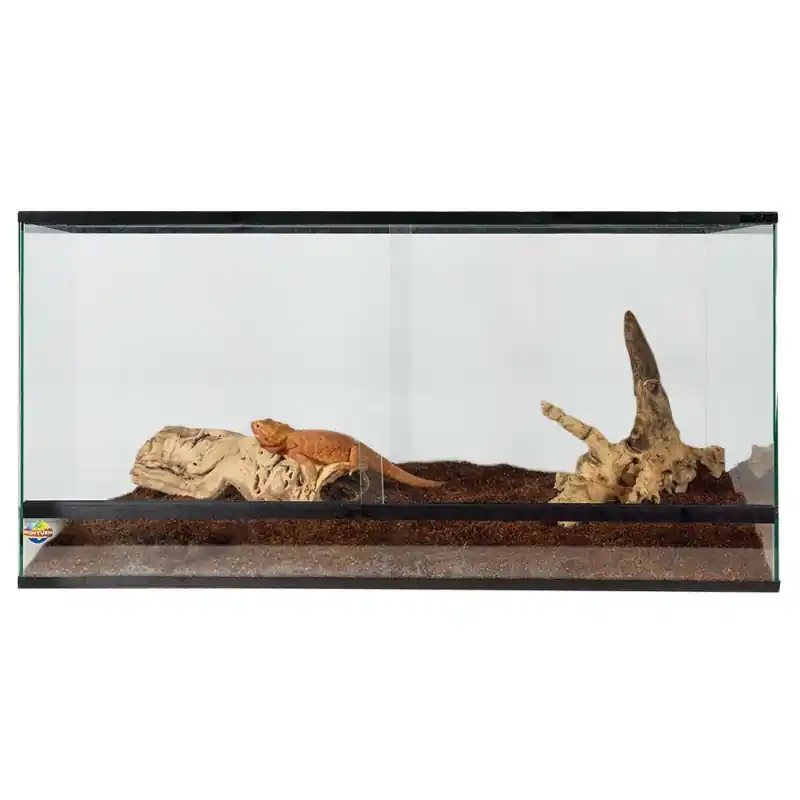 Terrarium Basic 100x50x50 cm Lage Kosten