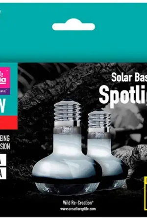 Laatste Versie Arcadia Solar Basking Floodlight 100W 2 Stuks