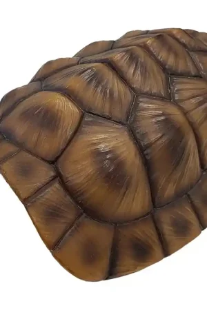 Flitsaanbieding Repto Deco Schildpad Schild M