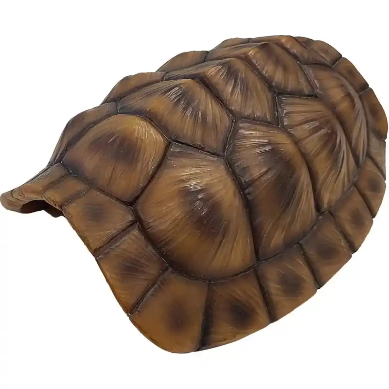 Flitsaanbieding Repto Deco Schildpad Schild M