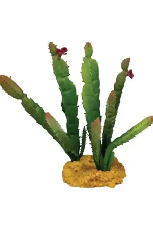 Repto Plant Cactus Naald met Rood Punt Beste Prijs