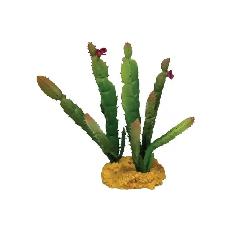 Repto Plant Cactus Naald met Rood Punt Beste Prijs