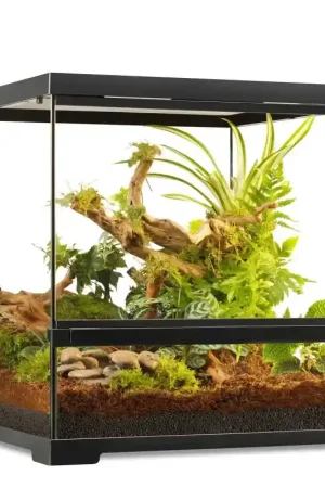 Exo Terra Pro Terrarium Small Wide – 45x45x45 cm Must-Have