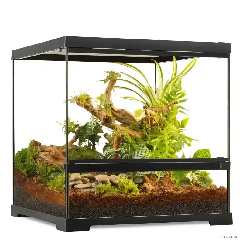 Exo Terra Pro Terrarium Small Wide – 45x45x45 cm Must-Have