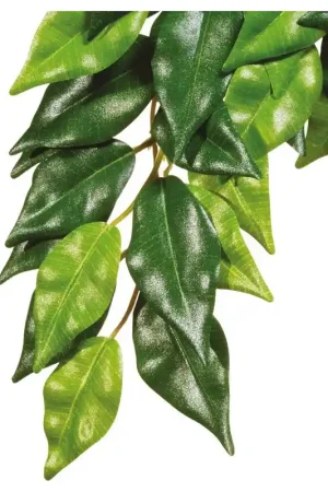 Snelle Levering Exo Terra Silk Plant Large Ficus