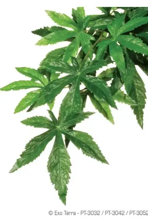 Dagaanbieding Exo Terra Silk Plant Medium Abutilon