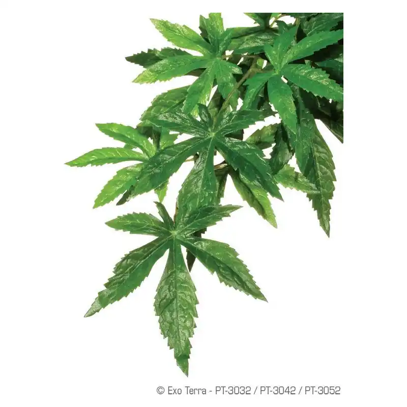 Dagaanbieding Exo Terra Silk Plant Medium Abutilon