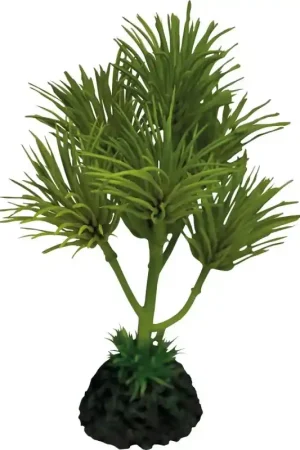 Repto Plant Cactus Palm Bestseller