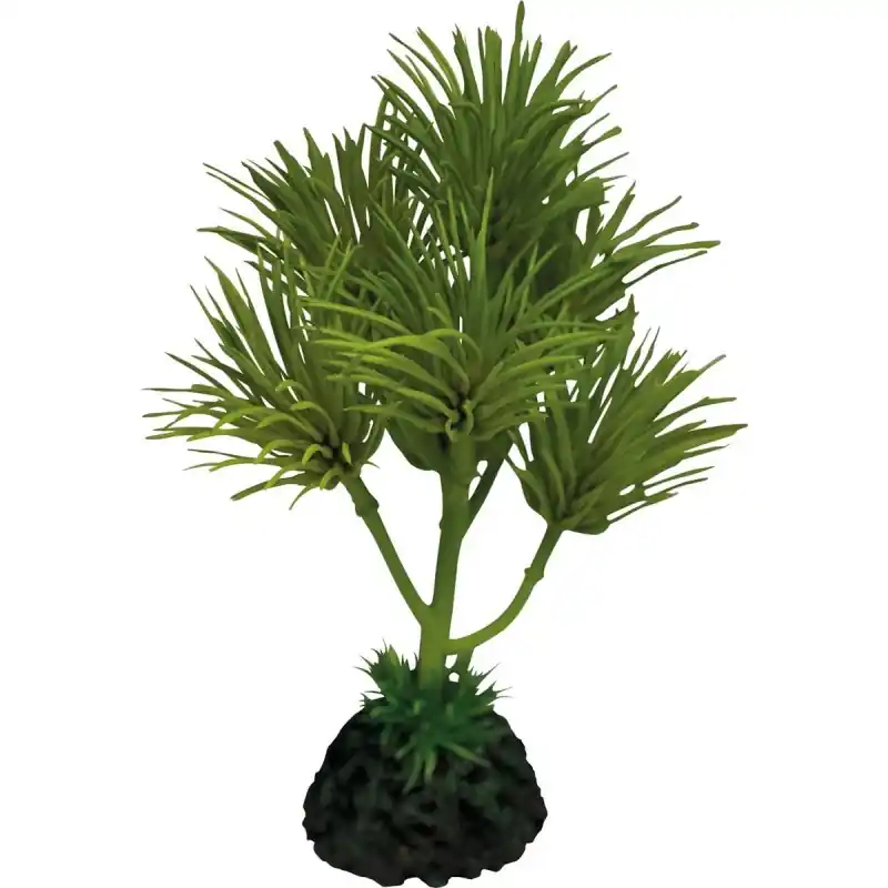 Repto Plant Cactus Palm Bestseller