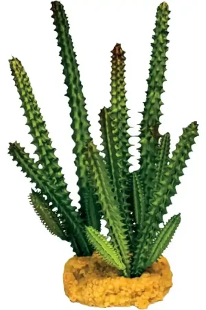 Express Levering Repto Plant Cactus Naald Groen