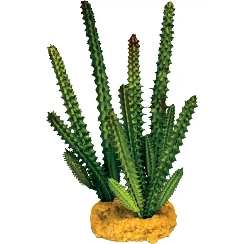 Express Levering Repto Plant Cactus Naald Groen