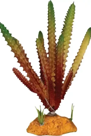 Weekendaanbieding Repto Plant Cactus Rode Naald