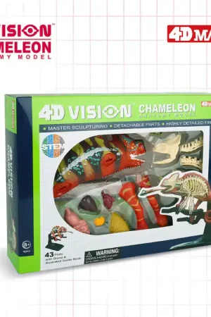 4D Vision Anatomie Model Kameleon Direct Beschikbaar