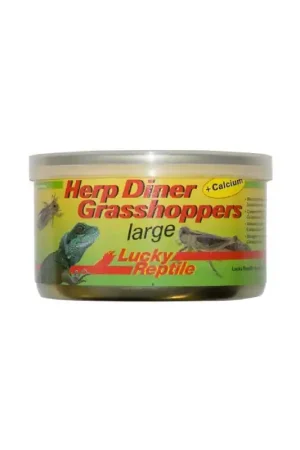 Actieprijs Lucky Reptile Herp Diner - Grasshoppers large 35 gram