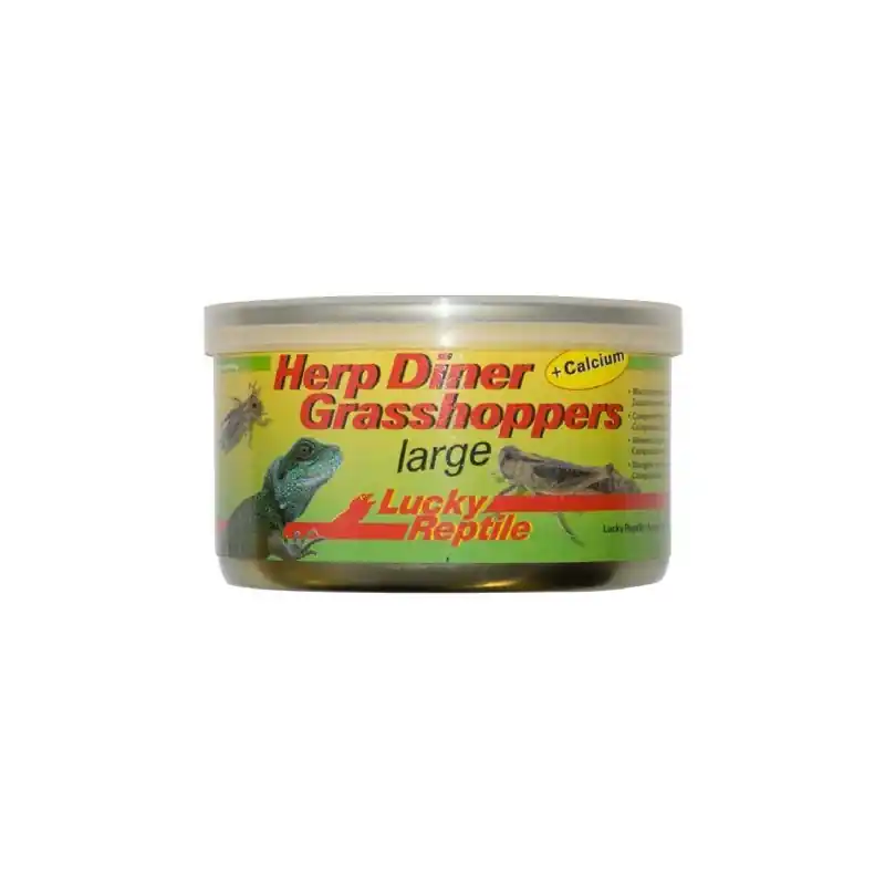 Actieprijs Lucky Reptile Herp Diner - Grasshoppers large 35 gram