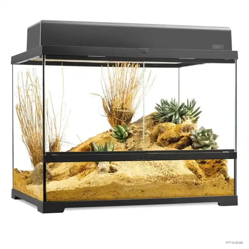 Speciale Aanbieding Exo Terra Pro Terrarium Medium Wide – 60x45x45 cm