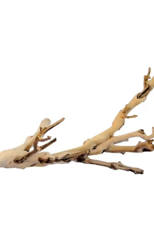 Rechtstreeks Van De Fabrikant Exo Terra Forest Branch Small 30cm