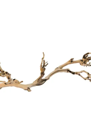 Snelle Levering Exo Terra Forest Branch Large 60cm