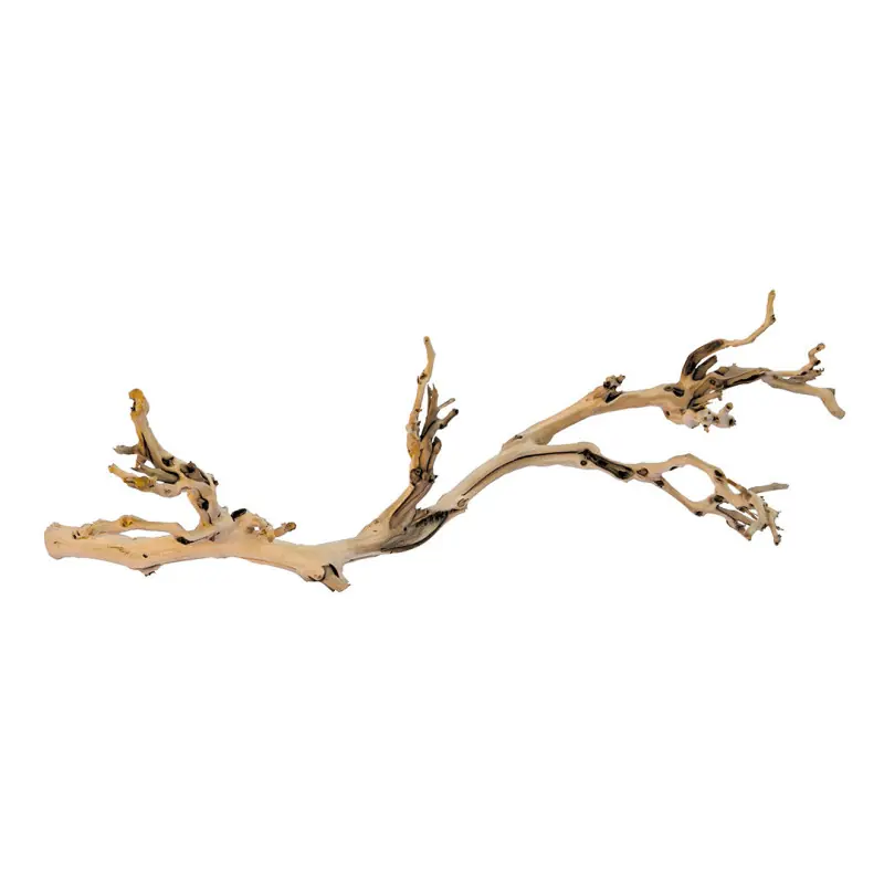 Snelle Levering Exo Terra Forest Branch Large 60cm