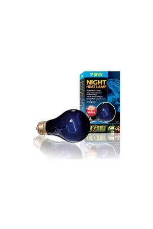 Bestel Nu Exo Terra Maanlichtlamp Night Glo Bulb 75w