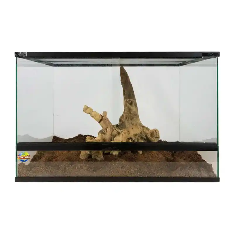 Terrarium Basic 60x40x40 cm Koop Vandaag