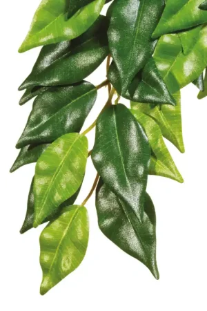 Shop Nu Exo Terra Silk Plant Small Ficus
