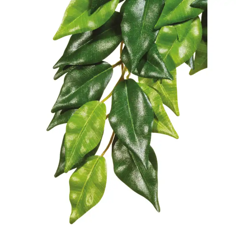Shop Nu Exo Terra Silk Plant Small Ficus