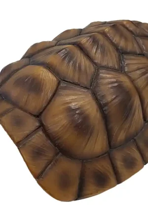 Betrouwbaar Repto Deco Schildpad Schild XL