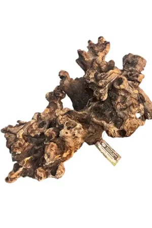 Weekendaanbieding Back Zoo Nature Coral Wood Large