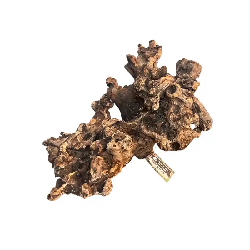 Weekendaanbieding Back Zoo Nature Coral Wood Large
