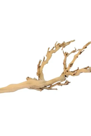 Finale Uitverkoop Exo Terra Forest Branch Medium 45cm