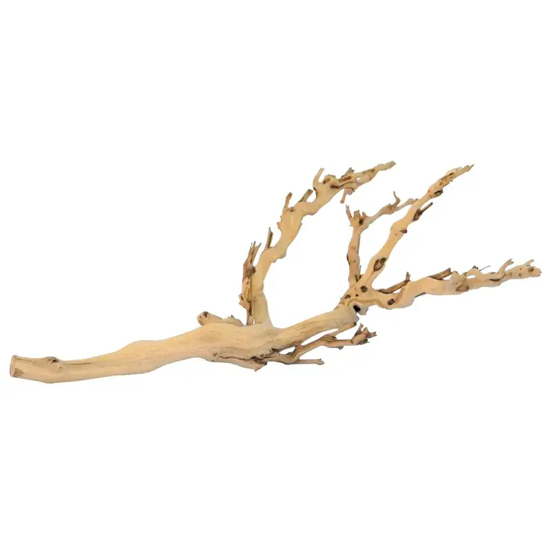 Finale Uitverkoop Exo Terra Forest Branch Medium 45cm