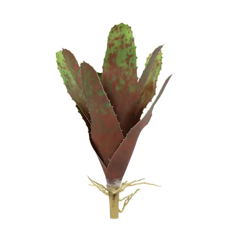 Lucky Reptile Bromelia Neoregelia Groen 20 cm Populair