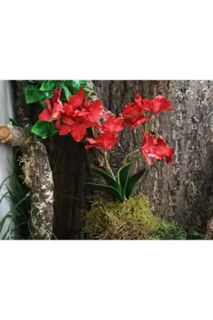 Lucky Reptile Orchidee Large Rood 35 cm Populair