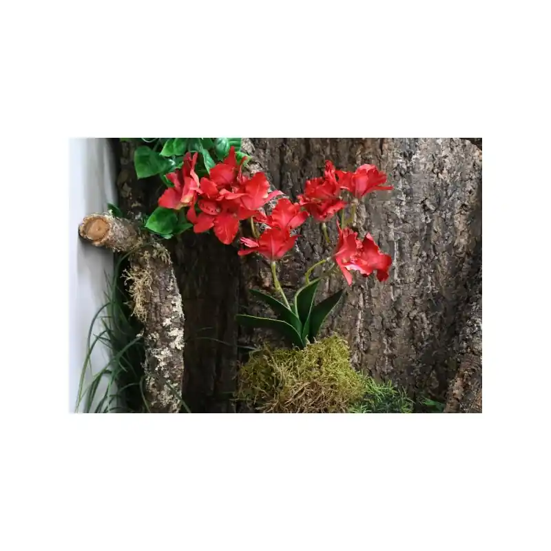 Lucky Reptile Orchidee Large Rood 35 cm Populair