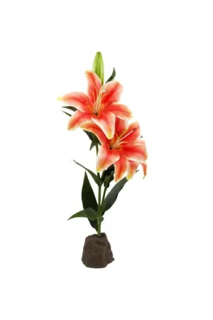 Hete Deal Lucky Reptile Lelie Oranje 55 cm