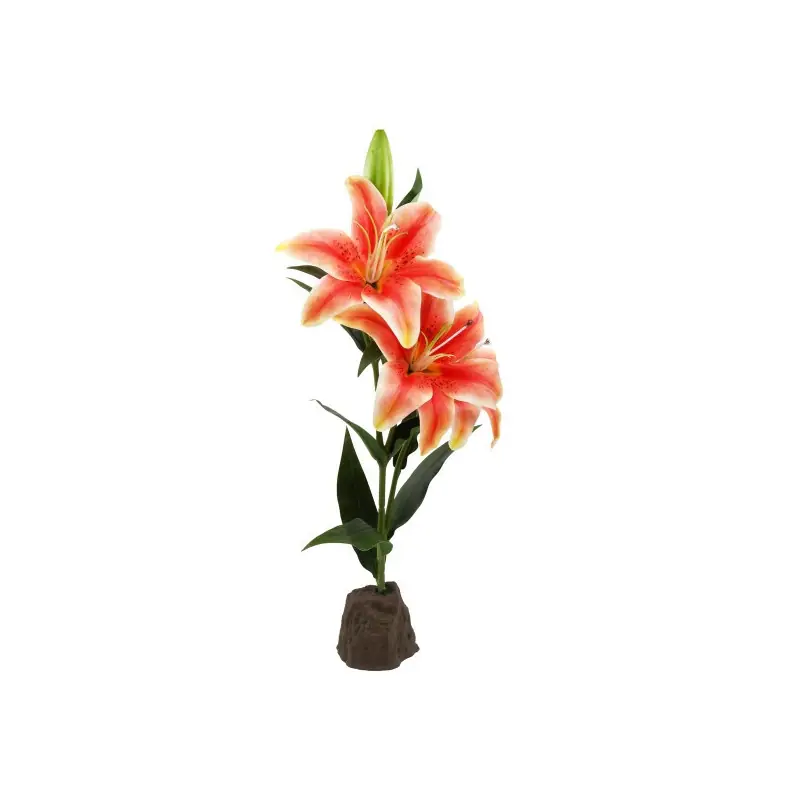 Hete Deal Lucky Reptile Lelie Oranje 55 cm