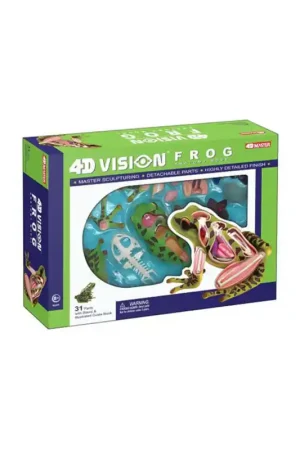 4D Vision Anatomie Model Kikker Veilige Betaling