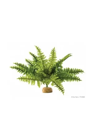 Exo Terra Boston Fern Medium Gecertificeerd