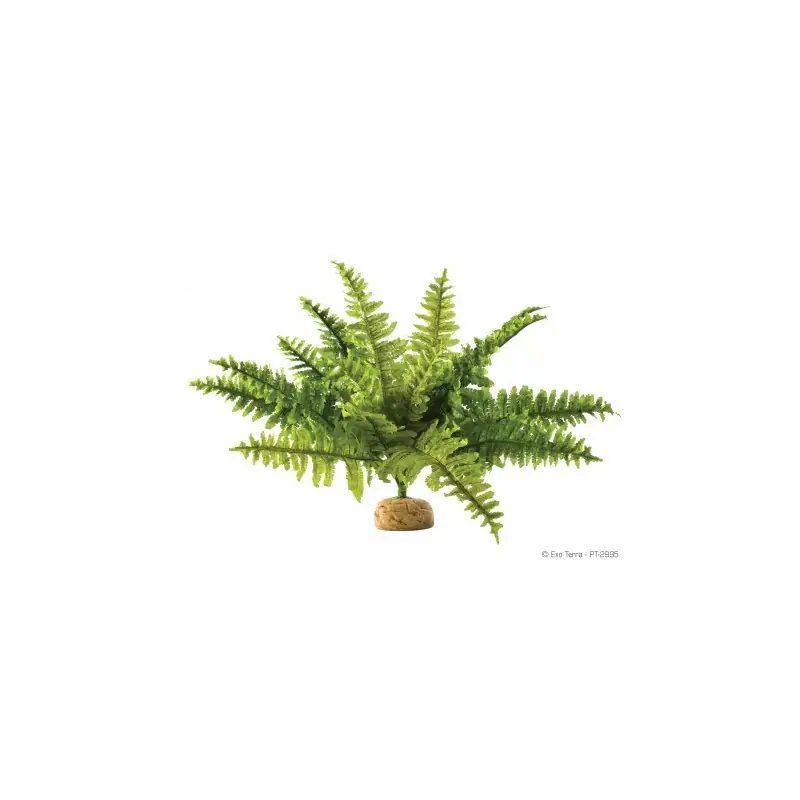 Exo Terra Boston Fern Medium Gecertificeerd