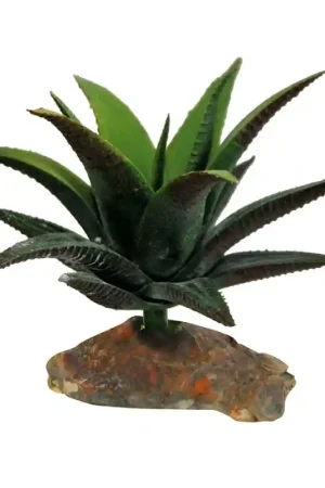 Lucky Reptile Succulent Small Korting