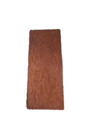 Koop Online Dicksonia Fibrosa Boomvarenplaat 50 x 20 cm