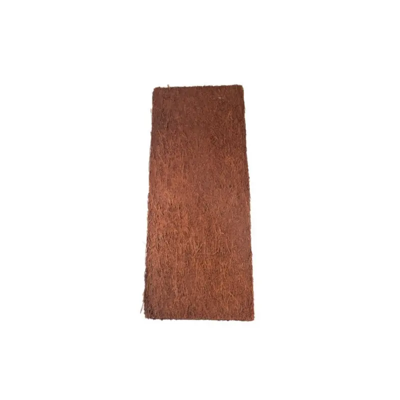 Koop Online Dicksonia Fibrosa Boomvarenplaat 50 x 20 cm