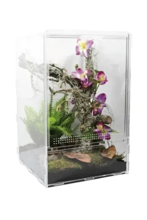 Lucky Reptile Lifetarrium 30x30x45 cm Meest Verkocht